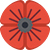 coquelicot-icone-web