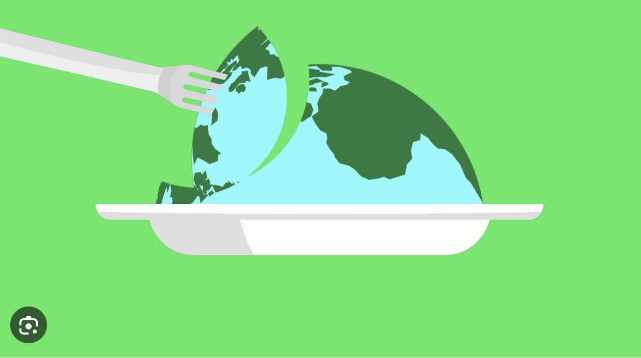 RÉDUIRE L'IMPACT ENVIRONNEMENTAL DE L'ALIMENTATION : COMMENT FAIRE SA PART ? impact environnemental alimentation