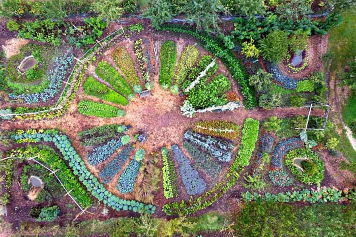 INITIATION À LA PERMACULTURE Permaculture - UPVD