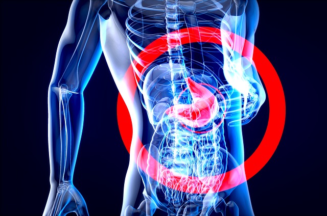 À LA DÉCOUVERTE DE L'INTESTIN : LE MICROBIOTE intestin