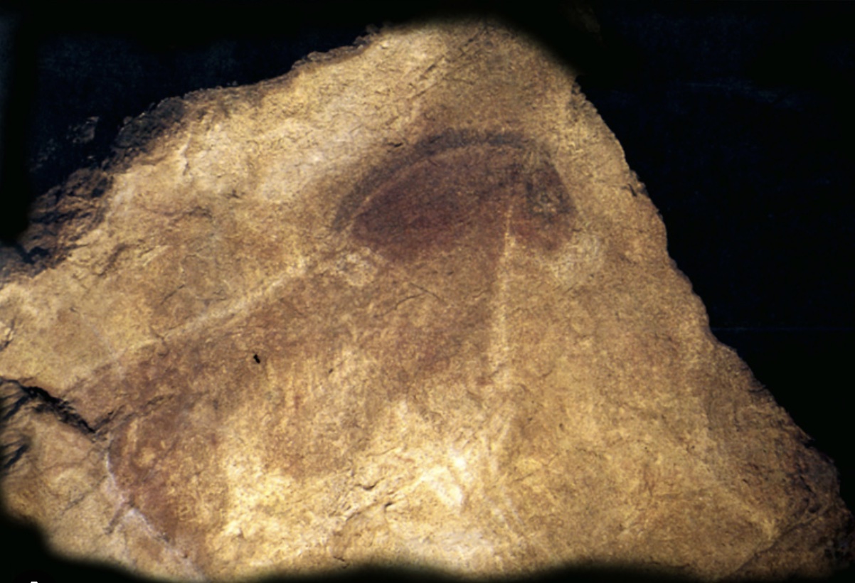 Cheval grotte Labastide