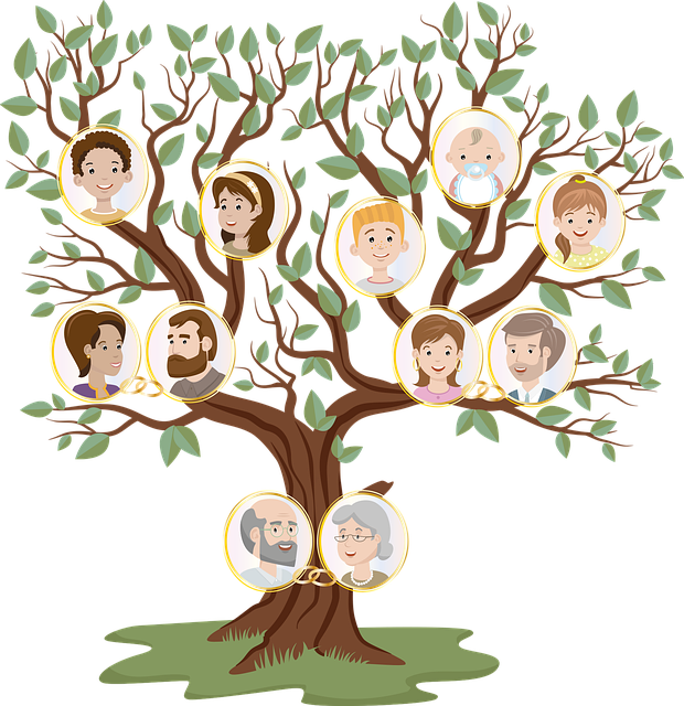 ATELIER DE GÉNÉALOGIE: - REMONTER SON ARBRE PAR INTERNET arbre généalogique pixabey