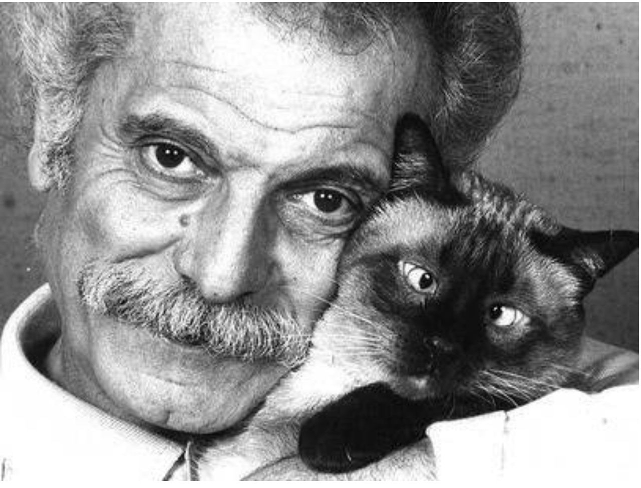 BRASSENS, ORFÈVRE DE LA CHANSON Brassens_avec_chat