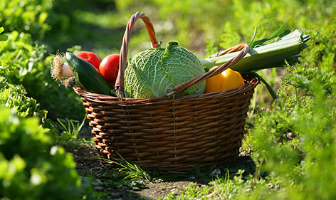 ÉCONOMIE ET NUTRITION : CHANGER D’ALIMENTATION POUR VIVRE EN MEILLEURE SANTÉ ET PRÉSERVER LA PLANÈTE changer d'alimentation