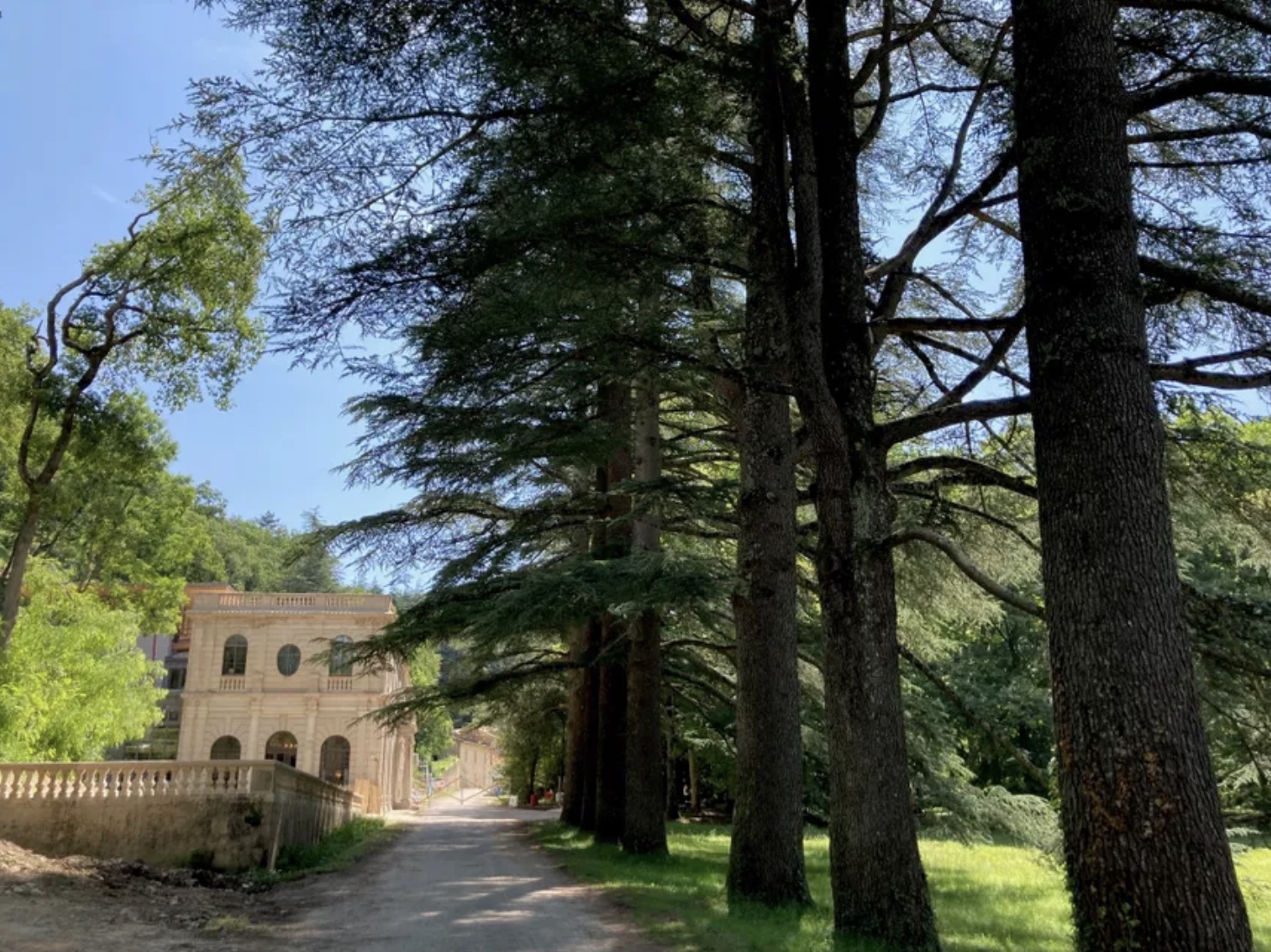 BIODIVERSITÉ EN FORÊT DE SAOU Allée_forêt_de_saou